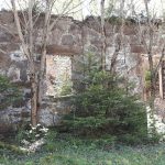 20160826_153706_resized