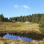 14232618_1751961005062190_5859269060766999106_n