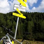 14322574_1751961078395516_1193646618713080747_n