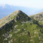 14344266_1751961045062186_175397263635661333_n-1